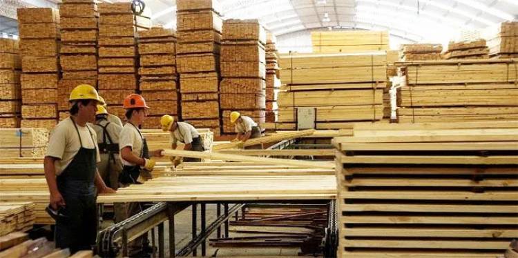 LA FORESTOINDUSTRIA PIDE UNA ACCIÓN CONJUNTA PARA EVITAR LA QUIEBRA DEL SECTOR