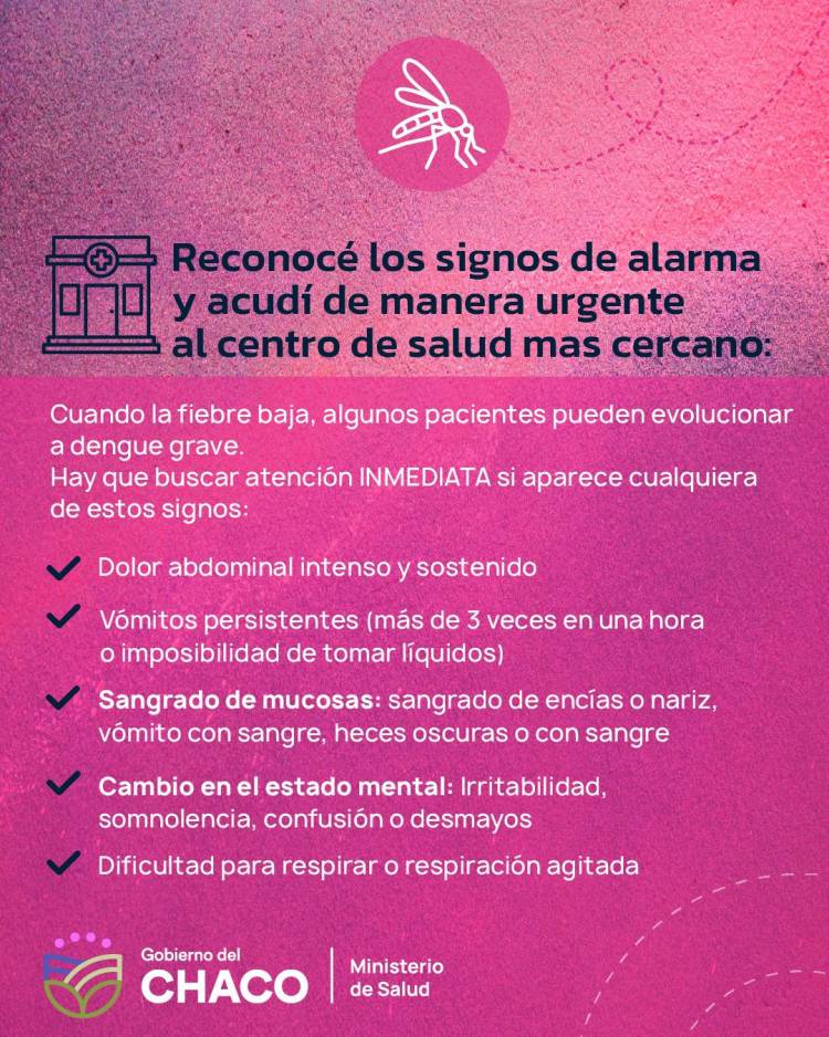 DENGUE: RECUERDAN MEDIDAS CLAVES PARA EVITAR LA PROLIFERACIÓN DEL MOSQUITO