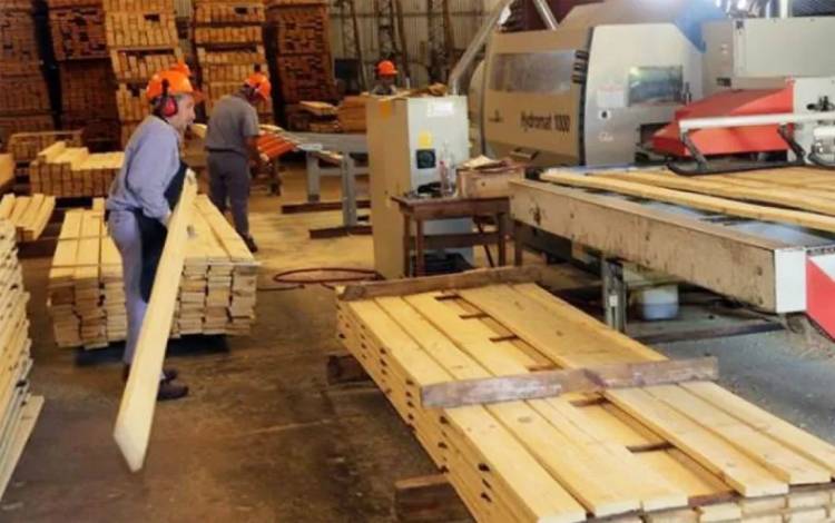 EL SECTOR FORESTOINDUSTRIAL RECLAMA LA DECLARACIÓN DE EMERGENCIA POR LA CRISIS