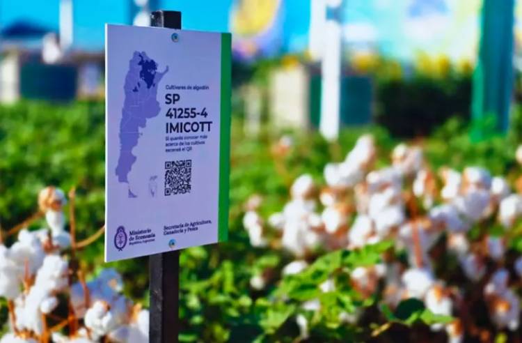 GENÉTICA APLICADA AL CAMPO, LA PROPUESTA DEL INTA PARA EL PAÍS