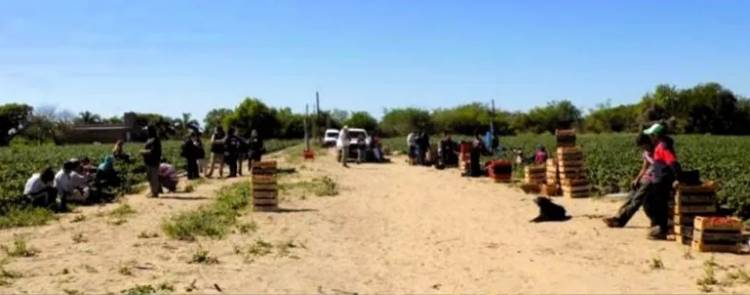 TRABAJADORES RURALES CHAQUEÑOS ERAN OBLIGADOS A BAÑARSE EN EL MONTE Y BEBER DE ENVASES DE AGROQUÍMICOS
