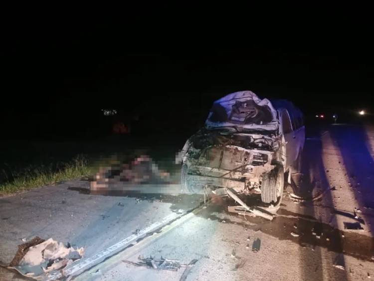ACCIDENTE EN RUTA 9: UN CABALLO MURIÓ TRAS SER EMBESTIDO EN COLONIAS UNIDAS