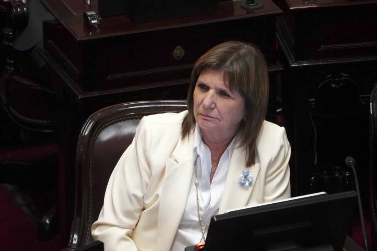 PESE A LAS MANIOBRAS DEL OFICIALISMO, EL SENADO TRATARÁ LA SEMANA QUE VIENE FICHA LIMPIA COMO PROYECTO SEPARADO