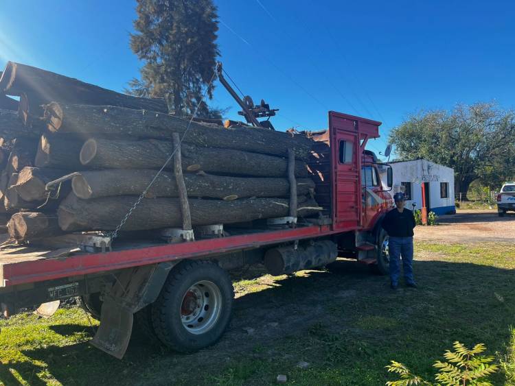 INCAUTAN UN CAMIÓN CON 7 MIL KILOS DE ALGARROBO