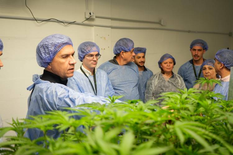 HISTÓRICO: LA EMPRESA CHAQUEÑA CANNAFIS EXPORTARÁ CANNABIS SATIVA 100 % MEDICINAL A NUEVA ZELANDA