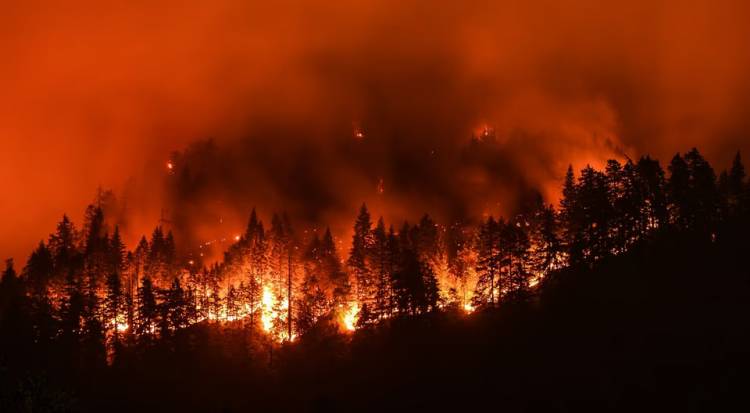 CALIFORNIA: UN INCENDIO FORESTAL ARRASÓ MÁS DE 800 HECTÁREAS