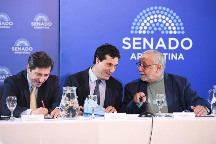 EL EX SECRETARIO DE LIJO RENDIRÁ EXAMEN EN EL SENADO PARA EL JUZGADO QUE TIENE LA CAUSA DE INSAURRALDE Y CIRIO
