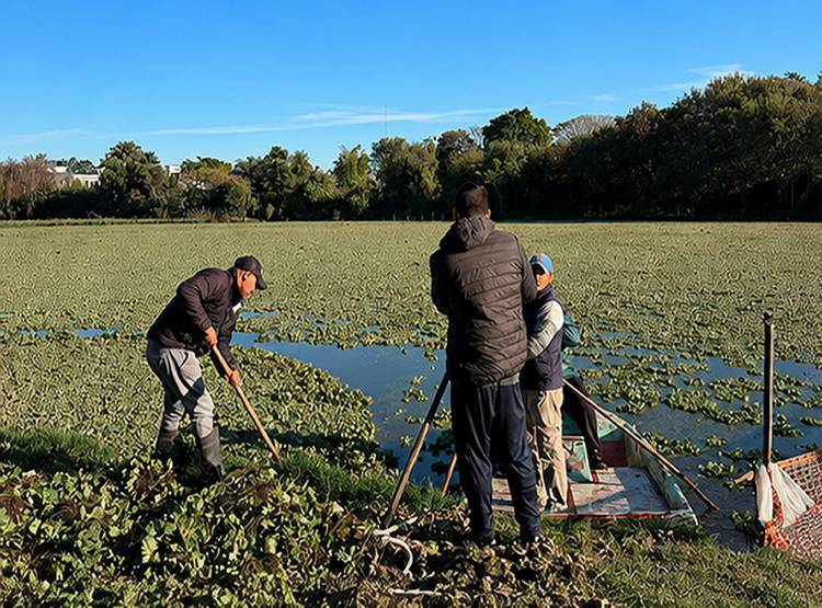 MONITOREO PERMANENTE: LA APA REFUERZA EL CONTROL AMBIENTAL DE LAS LAGUNAS DEL GRAN RESISTENCIA